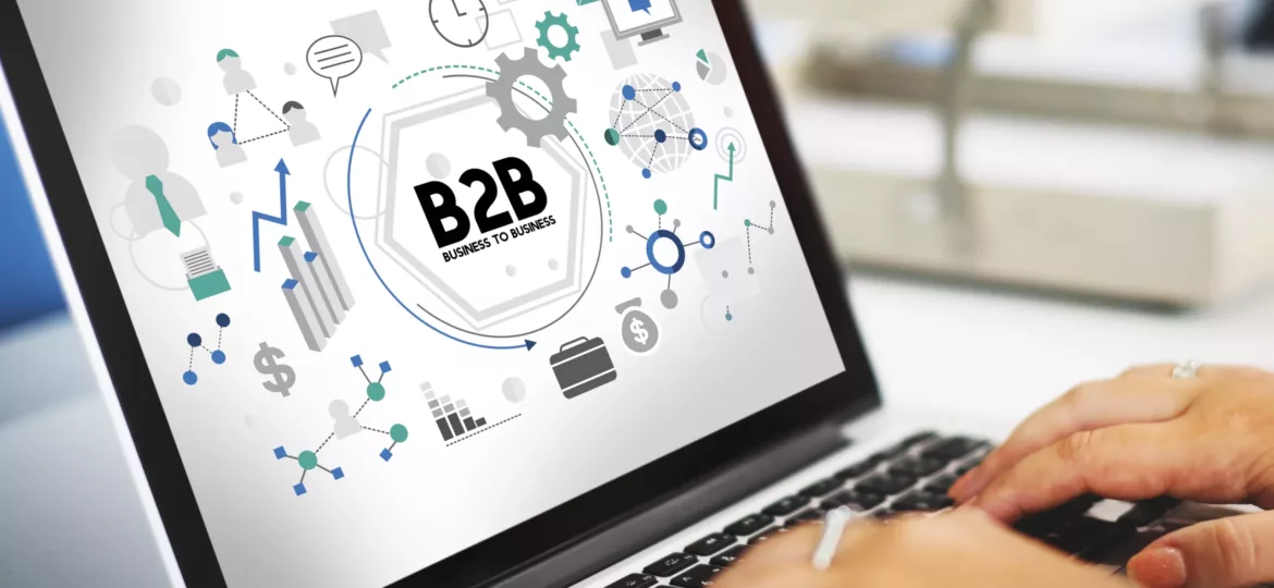 b2b website visitor identification